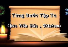 Từng Bước Tập Tu – Thích Pháp Hòa tung buoc tap tu thich phap hoa