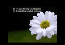 Tương Lai Làm Bằng Chất Liệu Của Hiện Tại – Thích Minh Niệm tuong lai lam bang chat lieu cua