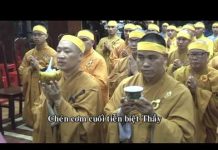 Tưởng Niệm Ân Sư Mùa Lá Đổ – Thích Thiện Thuận tuong niem an su mua la do thich