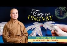 Tùy Cơ Ứng Vật – Thích Pháp Hòa tuy co ung vat thich phap hoa
