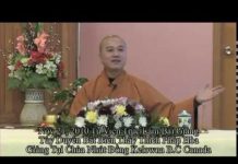 Tùy Duyên Bất Biến – Thích Pháp Hòa tuy duyen bat bien thich phap ho