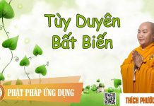 Tùy Duyên Bất Biến – Thích Phước Tiến tuy duyen bat bien thich phuoc t