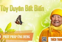 Tùy Duyên Bất Biến – Thích Thanh Từ tuy duyen bat bien thich thanh t
