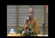 Tùy Duyên – Thích Trí Huệ tuy duyen thich tri hue