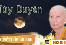 Tùy Duyên – Thích Trí Quảng tuy duyen thich tri quang