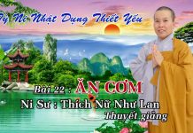 Tỳ Ni Nhật Dụng Thiết Yếu Bài 22: Ăn Cơm – Thích Nữ Như Lan ty ni nhat dung thiet yeu bai 22