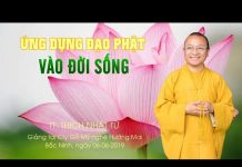 Ứng dụng đạo Phật vào đời sống – Thích Nhật Từ ung dung dao phat vao doi song t