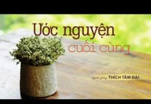 Ước Nguyện Cuối Cùng – Thích Tâm Đại uoc nguyen cuoi cung thich tam d