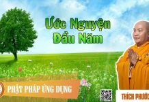 Ước Nguyện Đầu Năm – Thích Phước Tiến uoc nguyen dau nam thich phuoc t