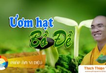Ươm Hạt Bồ Đề – Thích Thiện Tuệ uom hat bo de thich thien tue