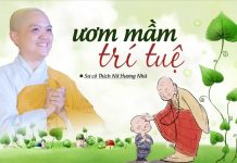 Ươm Mầm Trí Tuệ – Thích Nữ Hương Nhũ uom mam tri tue thich nu huong n