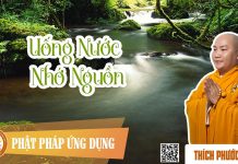 Uống Nước Nhớ Nguồn – Thích Phước Tiến uong nuoc nho nguon thich phuoc