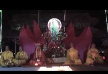 Vài Nét Về Bồ Tát Quán Thế Âm – Thích Thái Hòa vai net ve bo tat quan the am th