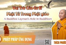 Vai Trò Cư Sĩ Phật Tử Trong Phật Giáo English Sub (A Buddhist Layman’s Role In Buddhism) vai tro cu si phat tu trong phat