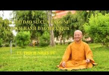 Vai Trò Đạo Sư Của Tăng Ni Và Cách Hành Đạo Hiệu Quả – Thích Nhật Từ vai tro dao su cua tang ni va ca