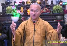Vai trò một vị đạo sư – Thích Nhật Từ vai tro mot vi dao su thich nhat