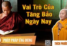 Vai Trò Tăng Bảo Ngày Nay – Thích Phước Tiến vai tro tang bao ngay nay thich