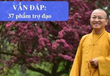Vấn đáp: 37 phẩm trợ đạo – Thích Nhật Từ van dap 37 pham tro dao thich nh 1