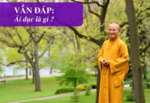 Vấn đáp: Ái dục – Thích Nhật Từ van dap ai duc thich nhat tu