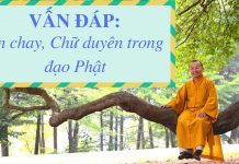 Vấn đáp: Ăn chay, chữ duyên trong đạo Phật – Thích Nhật Từ van dap an chay chu duyen trong