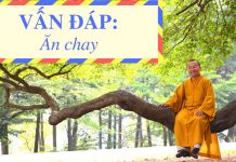 Vấn đáp: Ăn chay – Thích Nhật Từ van dap an chay thich nhat tu