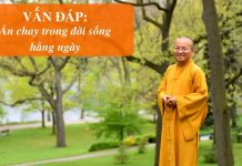 Vấn đáp: Ăn chay trong đời sống hằng ngày – Thích Nhật Từ van dap an chay trong doi song h