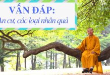 Vấn đáp: An cư, các loại nhân quả – Thích Nhật Từ van dap an cu cac loai nhan qua