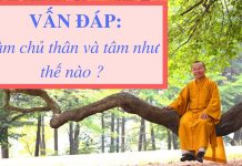 Vấn đáp: An trú tâm – Thích Nhật Từ van dap an tru tam thich nhat tu