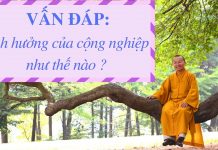 Vấn đáp: Ảnh hưởng của cộng nghiệp – Thích Nhật Từ van dap anh huong cua cong nghie