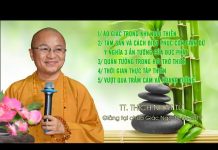 Vấn đáp: Ảo giác khi ngồi thiền – Tâm sân và cách điều phục cơn giận – Thích Nhật Từ van dap ao giac khi ngoi thien t