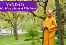 Vấn đáp: Áo nhật bình của tu sĩ Việt Nam – Thích Nhật Từ van dap ao nhat binh cua tu si v