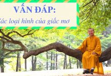 Vấn đáp: Ba loại hình của giấc mơ – Thích Nhật Từ van dap ba loai hinh cua giac mo