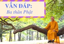 Vấn đáp: Ba thân Phật – Thích Nhật Từ van dap ba than phat thich nhat