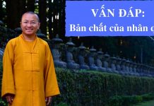 Vấn đáp: Bản chất của nhân quả – Thích Nhật Từ van dap ban chat cua nhan qua th