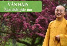 Vấn đáp: Bản chất giấc mơ – Thích Nhật Từ van dap ban chat giac mo thich n