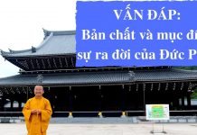 Vấn đáp: Bản chất và mục đích ra đời của Đức Phật – Thích Nhật Từ van dap ban chat va muc dich ra