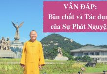Vấn đáp: Bản chất và tác dụng của sự phát nguyện – Thích Nhật Từ van dap ban chat va tac dung cua