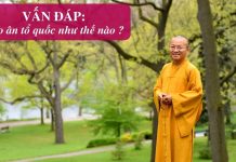 Vấn đáp: Báo ân tổ quốc – Thích Nhật Từ van dap bao an to quoc thich nha