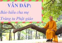 Vấn đáp: Báo hiếu cha mẹ, trùng tu Phật giáo – Thích Nhật Từ van dap bao hieu cha me trung tu