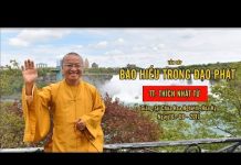 Vấn đáp: Báo hiếu trong đạo Phật – Thích Nhật Từ van dap bao hieu trong dao phat