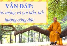 Vấn đáp: Báo mộng và gọi hồn, hồi hướng công đức – Thích Nhật Từ van dap bao mong va goi hon hoi