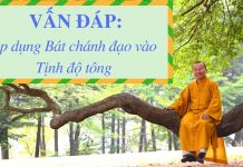 Vấn đáp: Bát chánh đạo – Thích Nhật Từ van dap bat chanh dao thich nhat