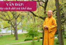 Vấn đáp: Bảy cách dứt trừ khổ đau – Thích Nhật Từ van dap bay cach dut tru kho dau