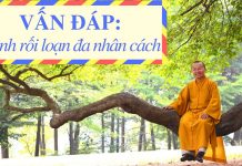 Vấn đáp: Bệnh rối loạn đa nhân cách – Thích Nhật Từ van dap benh roi loan da nhan ca