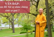 Vấn đáp: Bồ Tát sợ nhân , chúng sanh sợ quả – Thích Nhật Từ van dap bo tat so nhan chung san
