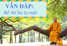 Vấn đáp: Bố thí ba la mật – Thích Nhật Từ van dap bo thi ba la mat thich n