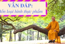 Vấn đáp: Bốn loại hình thực phẩm – Thích Nhật Từ van dap bon loai hinh thuc pham