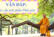 Vấn đáp: Các cấp giới phẩm Phật giáo – Thích Nhật Từ van dap cac cap gioi pham phat g