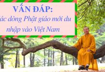 Vấn đáp: Các dòng Phật giáo mới du nhập vào Việt Nam – Thích Nhật Từ van dap cac dong phat giao moi d