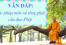 Vấn đáp: Các pháp môn, tông phái của đạo Phật – Thích Nhật Từ van dap cac phap mon tong phai c